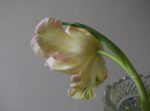 Floral Workshop at Les Nereides jewelry