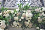 North Shore wedding in July